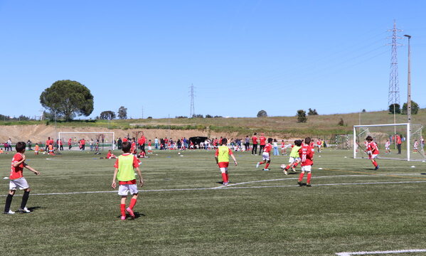 Um dia de grande festa