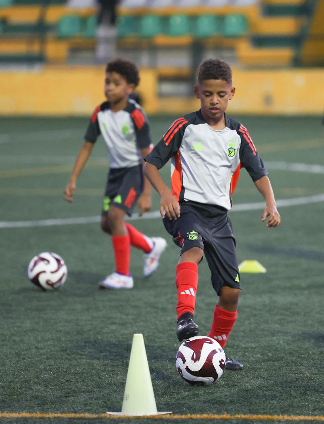 Treino e desenvolvimento