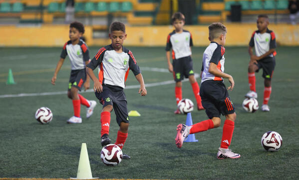 Treino e desenvolvimento