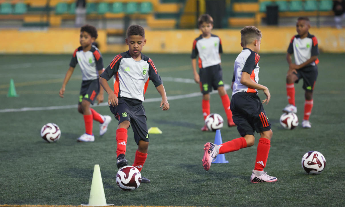 CFT Benfica – Reportagem-0