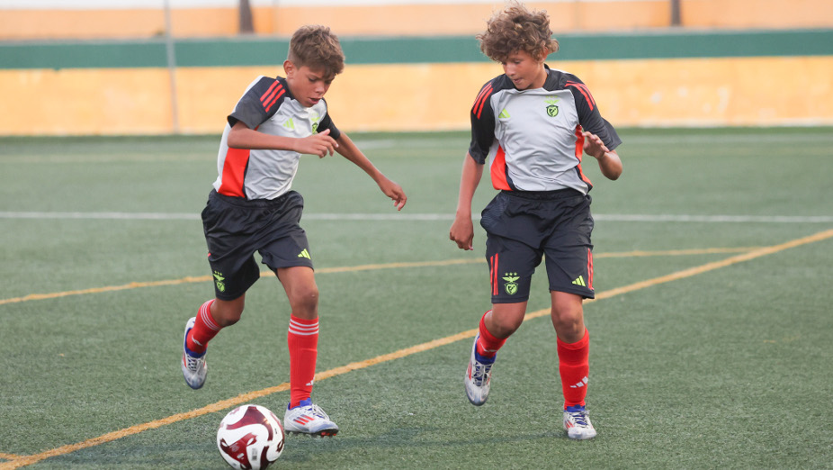 CFT Benfica – Reportagem-11