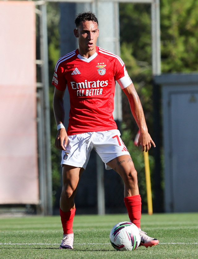 Francisco Domingues