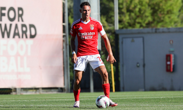 Francisco Domingues