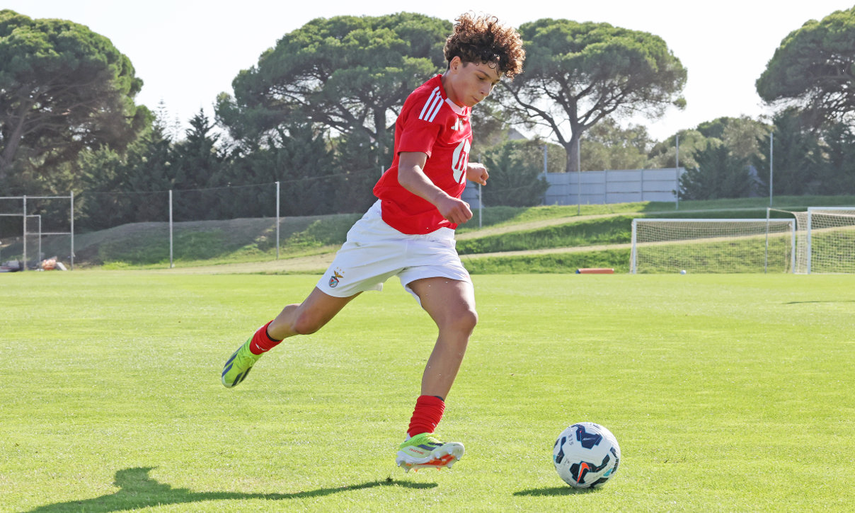 Afonso Baldé