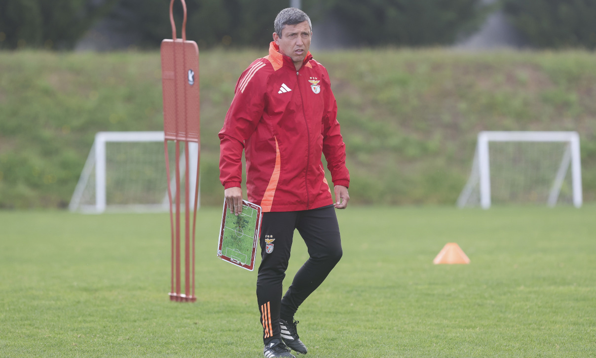 Luís Araújo