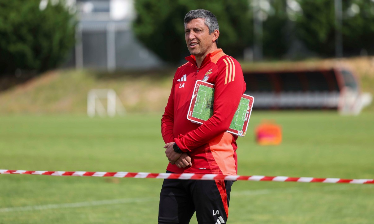  Luís Araújo