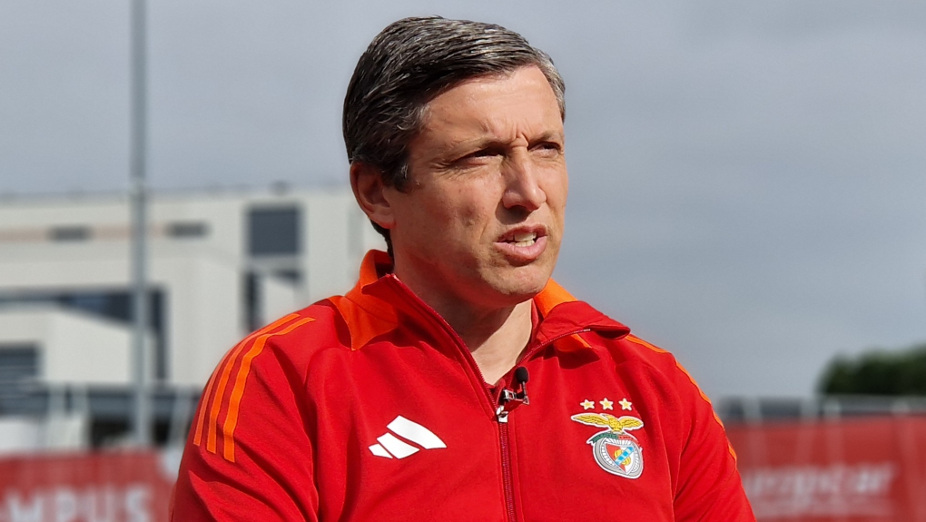 Luís Araújo