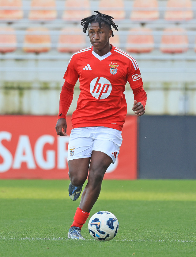 Mauro Furtado