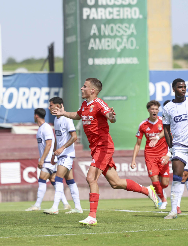 Tom&#225;s Cruz
