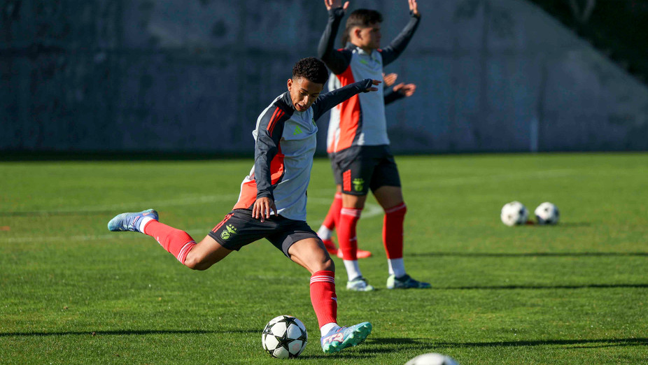 Antevisão Benfica-Bolonha