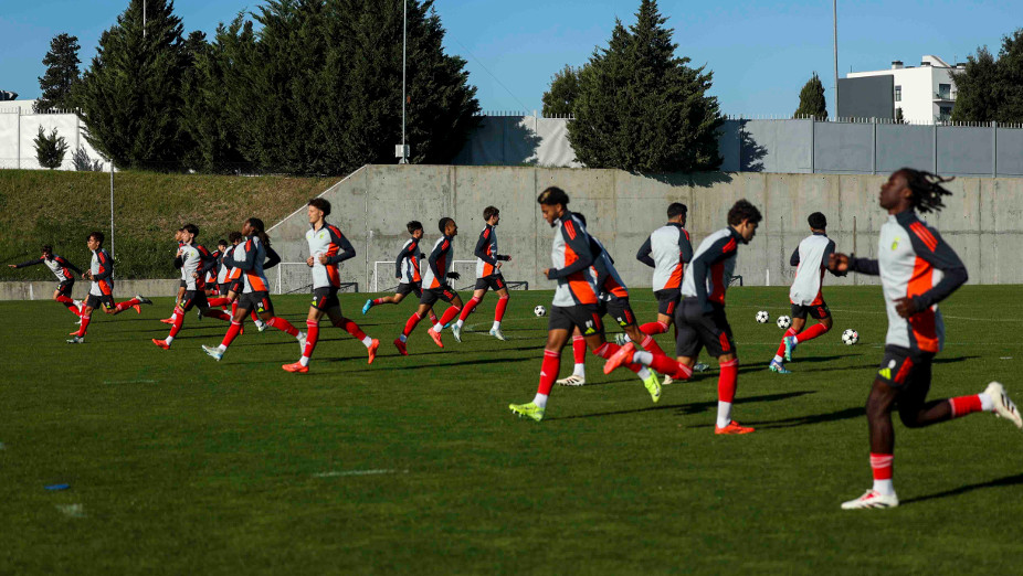 Antevisão Benfica-Bolonha