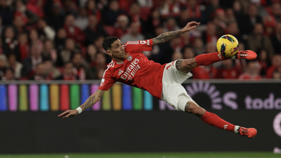 Raio-X Benfica-Braga