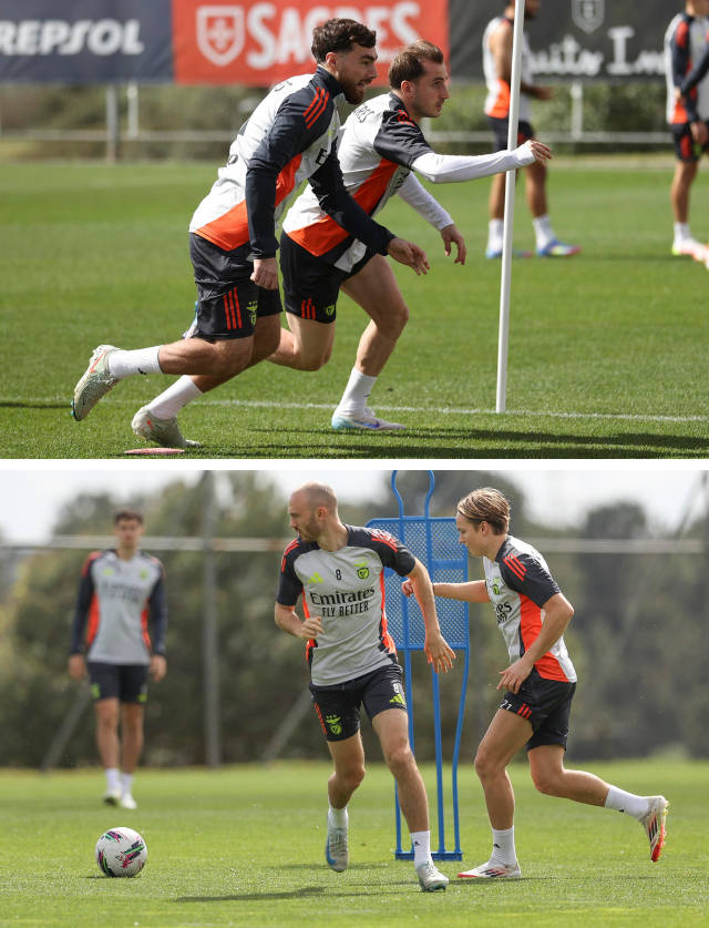 Treino do Benfica