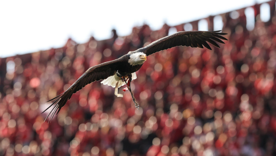 Benfica-Sporting