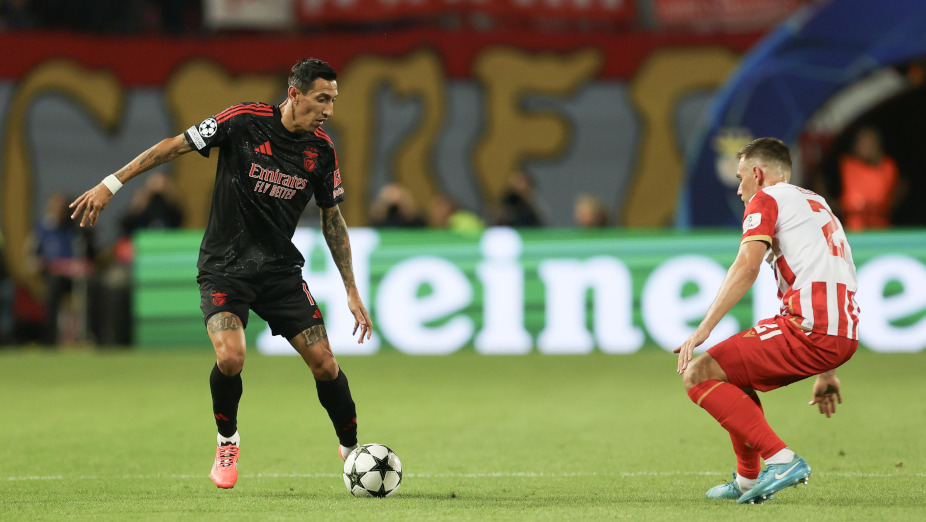 Estrela Vermelha-Benfica