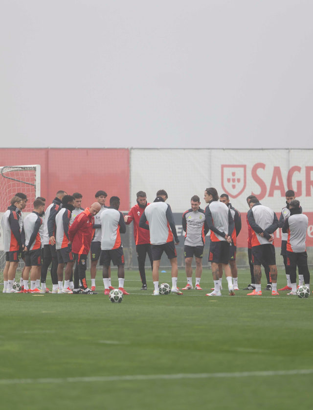 Equipa reunida no Benfica Campus