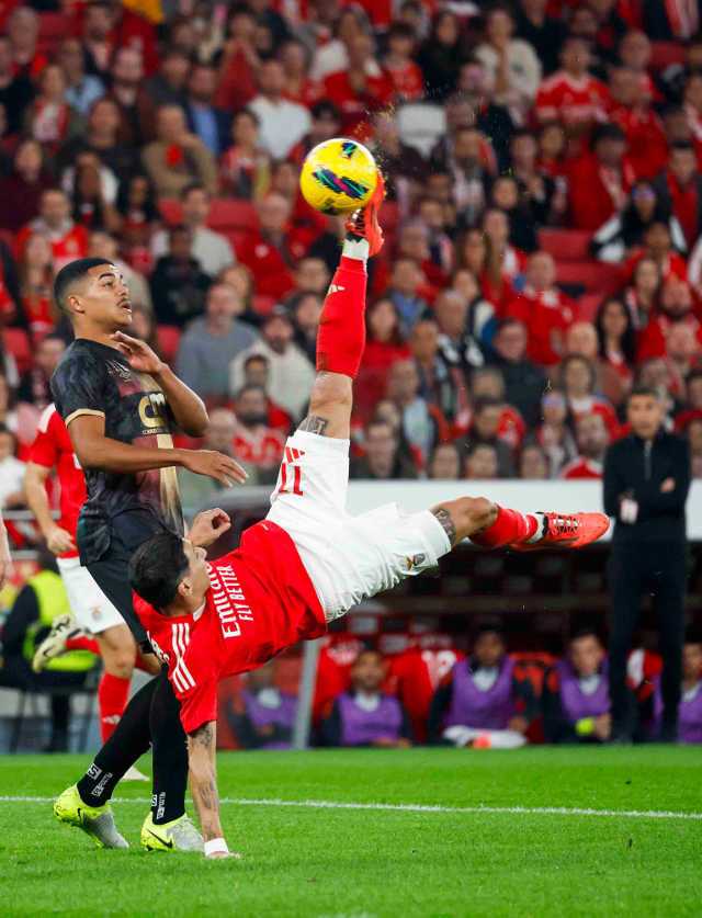 Futebol