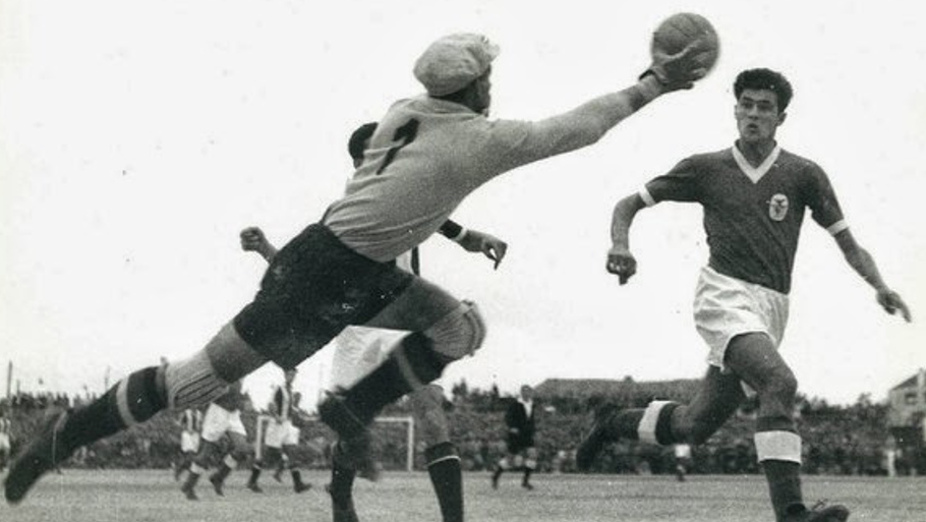 José Águas