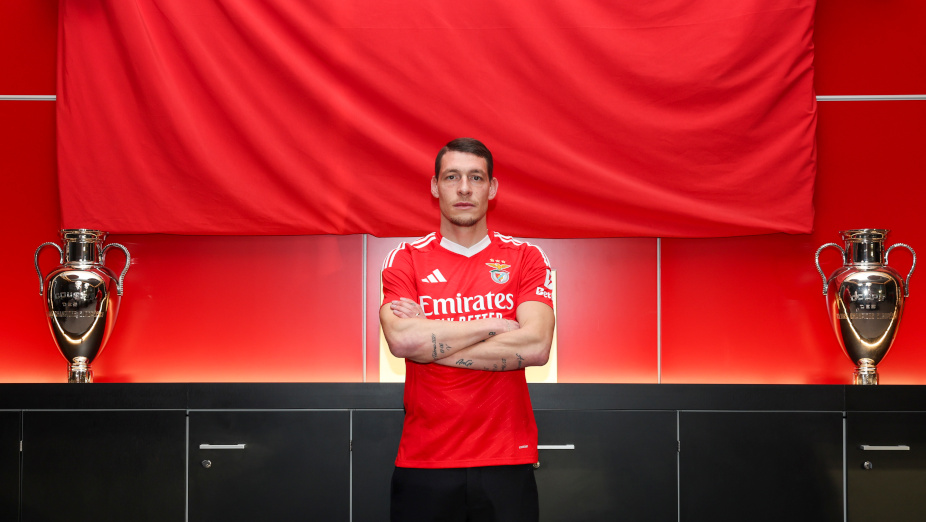 Belotti