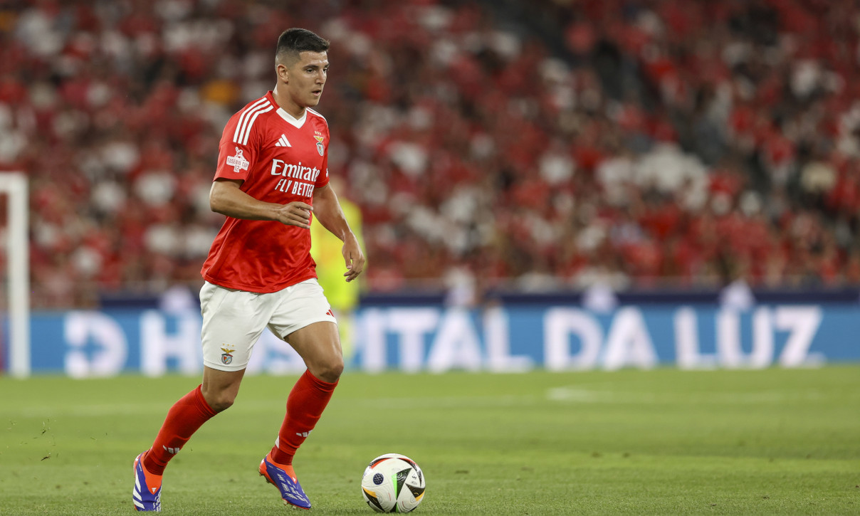 Martim Neto