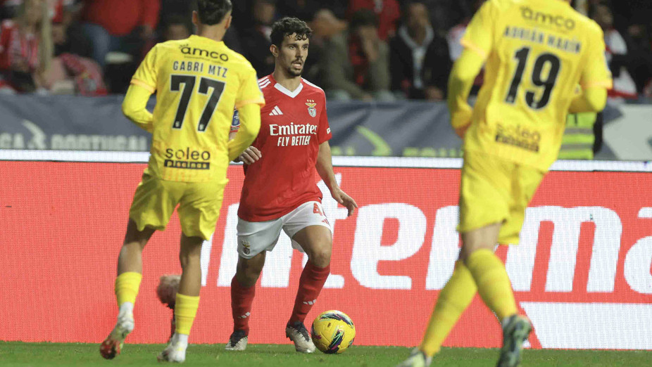 Tomás Araújo