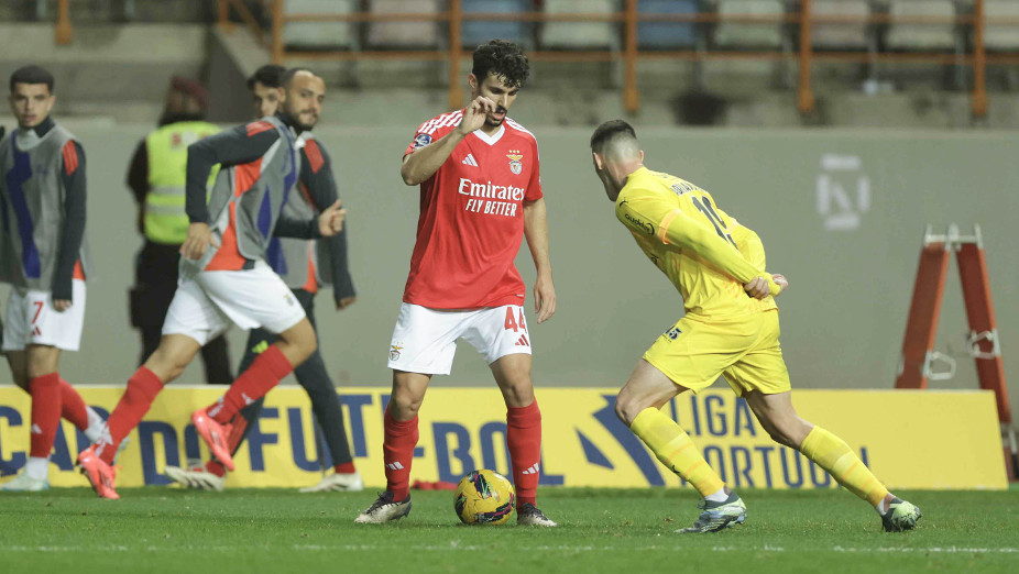Tomás Araújo