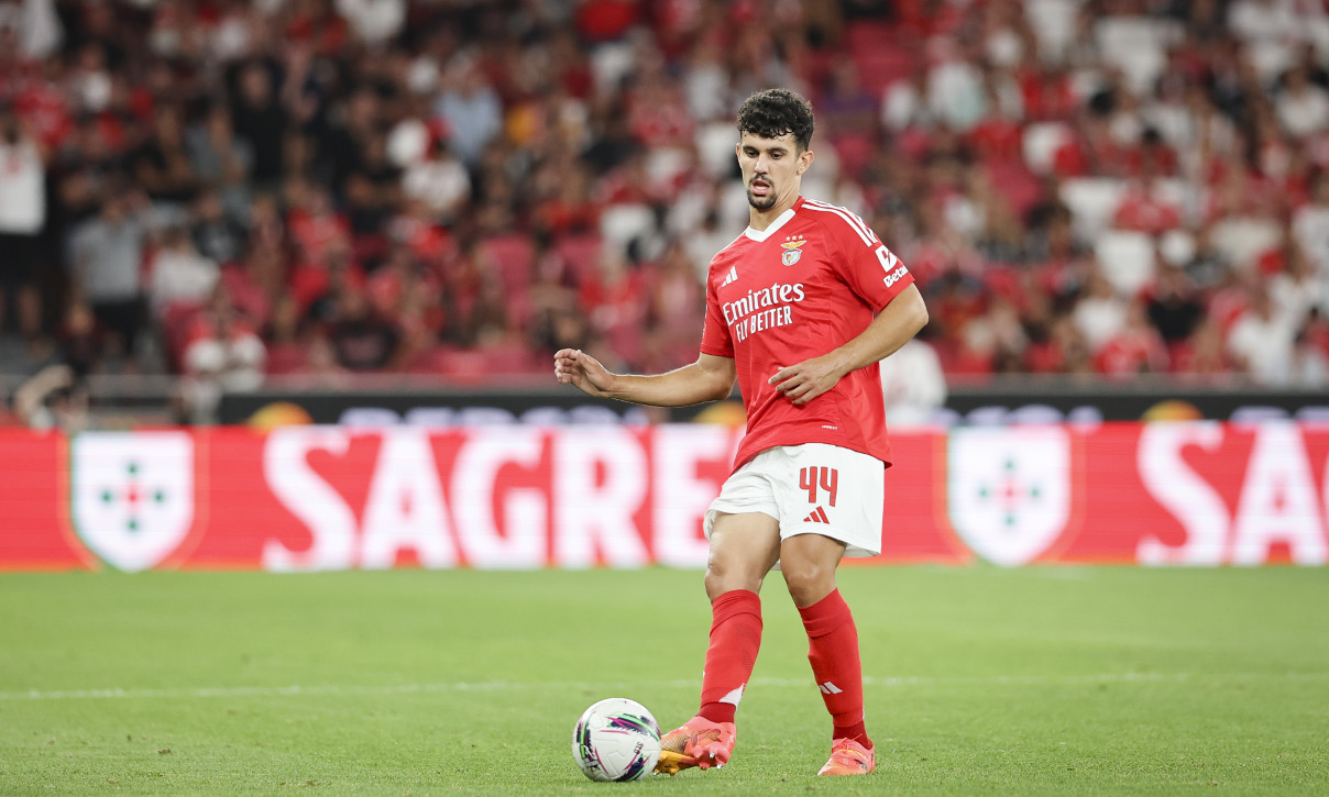 Tomás Araújo