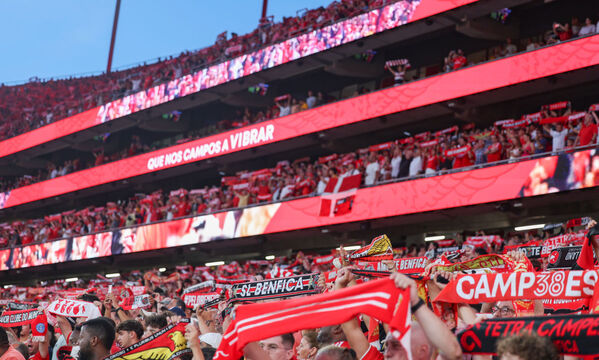 Supporters &#224; l&#39;Est&#225;dio da Luz