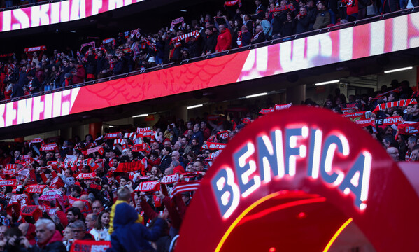 Est&#225;dio da Luz