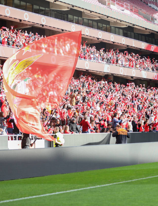 Adeptos do Benfica no Est&#225;dio da Luz