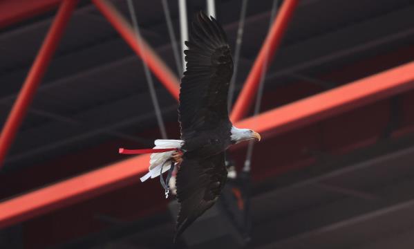 SL Benfica