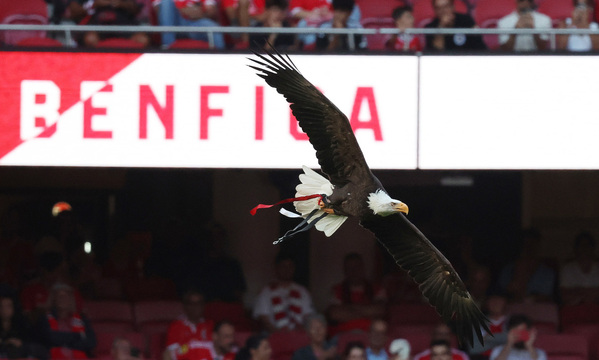 SL Benfica