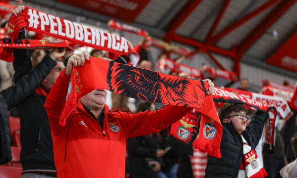 Adeptos do Benfica