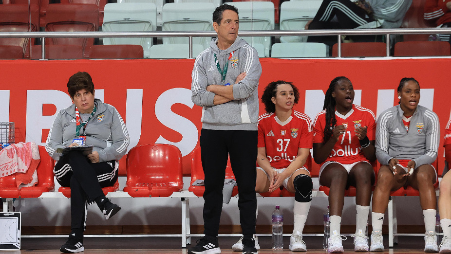 Benfica-Colgaia