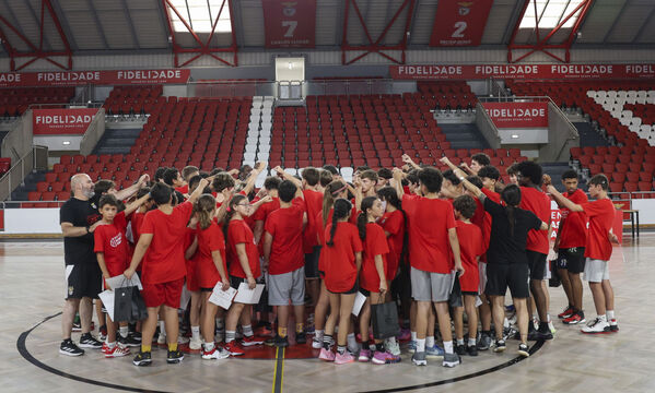 Basquetebol