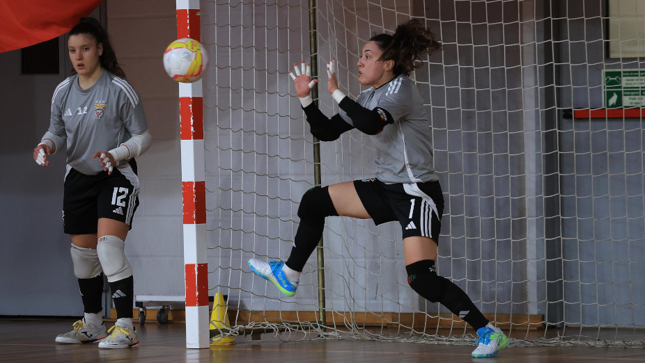 Ana Catarina