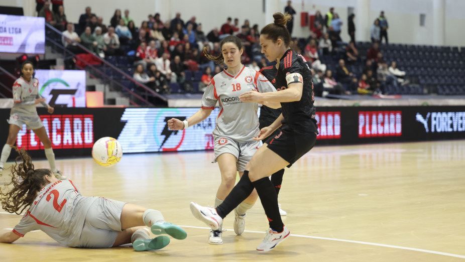 Benfica-Futsal Feijó