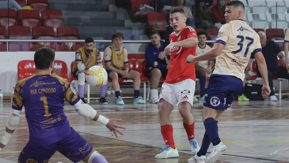 Benfica-Caxinas
