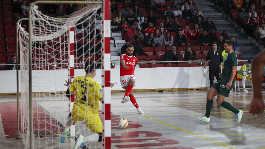Benfica-Leões Porto Salvo