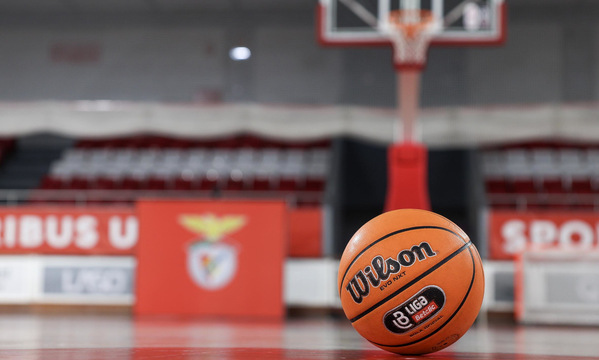 Basquetebol