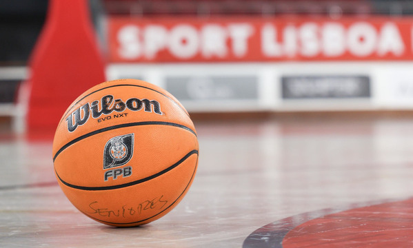 Basquetebol