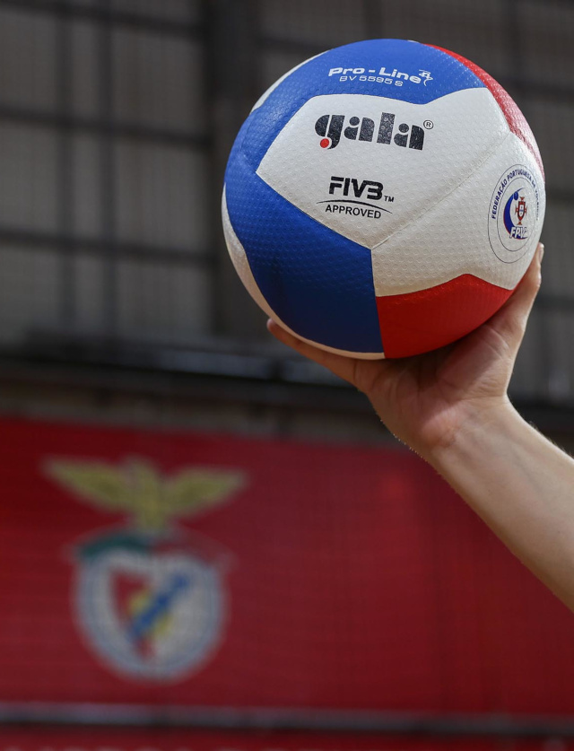  Voleibol