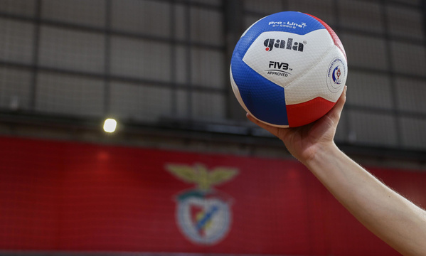  Voleibol