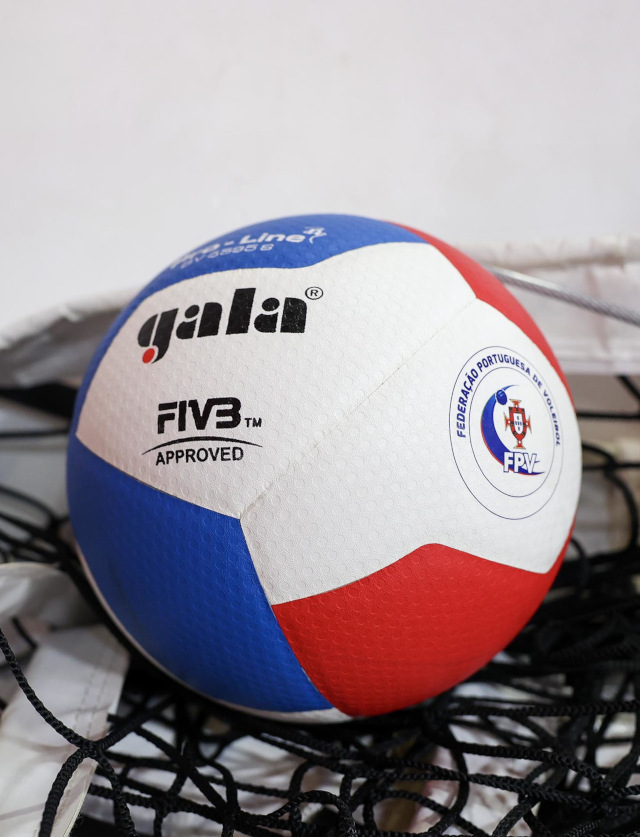 Voleibol feminino