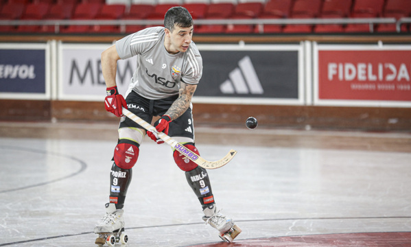 H&#243;quei em patins