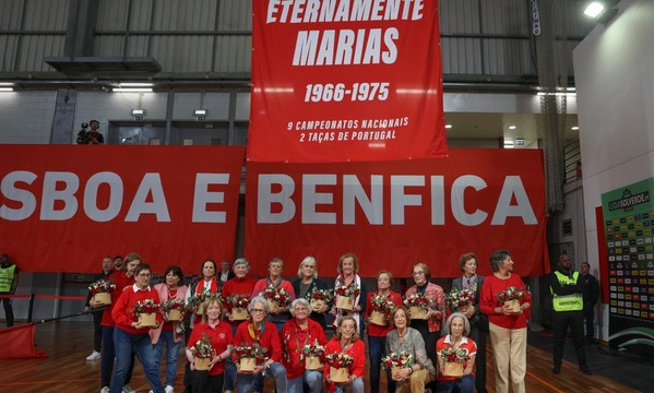 Voleibol feminino