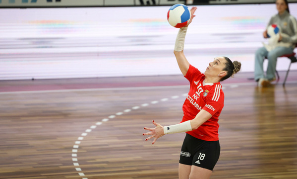 Voleibol Feminino