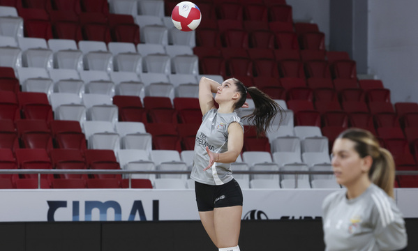 Voleibol feminino