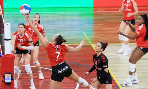Voleibol feminino