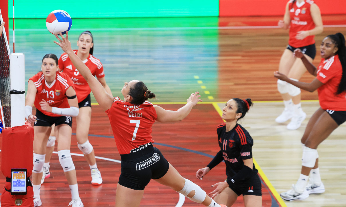 Voleibol 